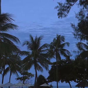 美女奖励自己免费高清网站
